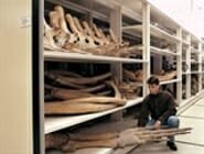 3D Object Storage