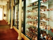 Archeology Storage